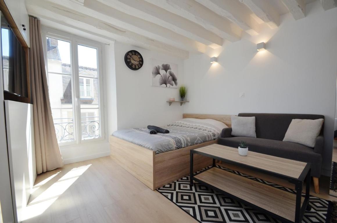 Ferienwohnung Le Petit France - Hyper Centre De Fontainebleau - Proche Insead Exterior foto